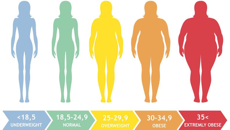 BMI یا شاخص توده بدنی