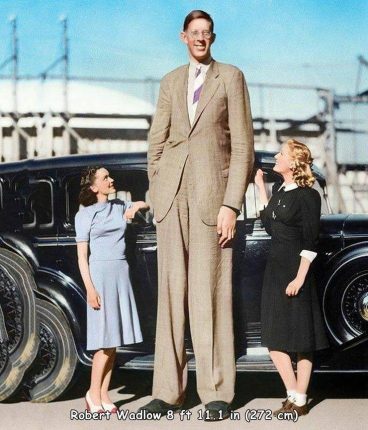 رابرت وادلو بلندترین آدم جهان
